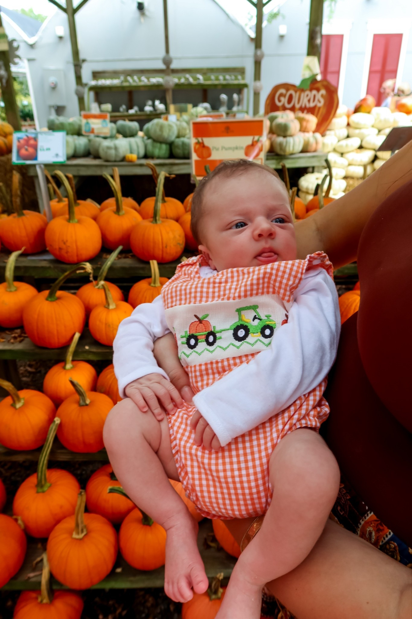 Under $15 amazon baby fall bubble (0-3 month) #founditonamazon 

#LTKFindsUnder50 #LTKBaby #LTKSeasonal