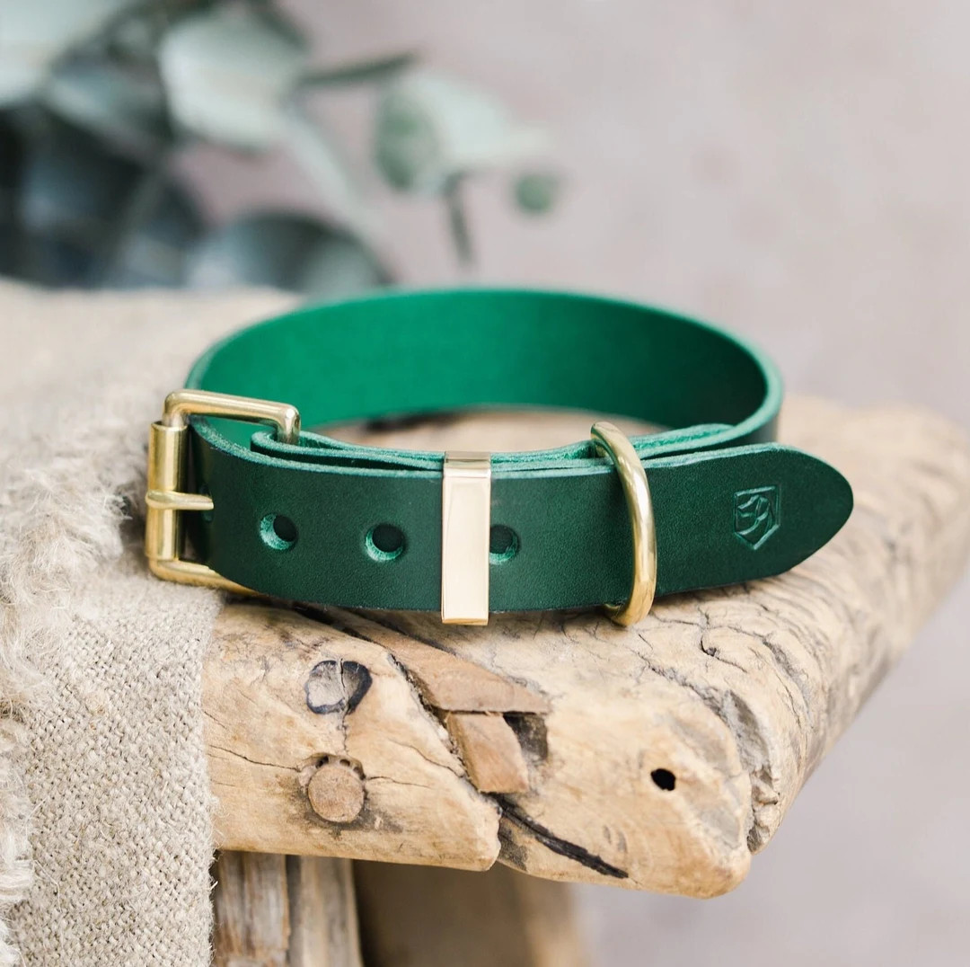 Green Leather Dog Collar Engraved Dog Collar With Brass - Etsy | Etsy (US)