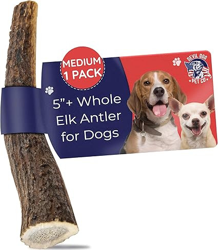 Devil Dog Pet Co. Elk Antlers for Dogs, 1 Pack, Medium 5”+ – Grade A Long Lasting Dog Bones f... | Amazon (US)