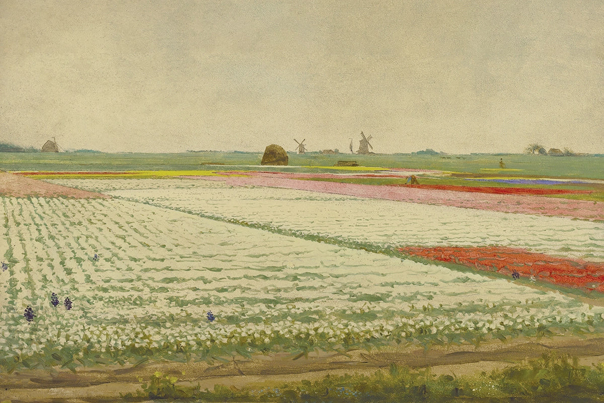 Tulip Fields | Juniper Print Shop