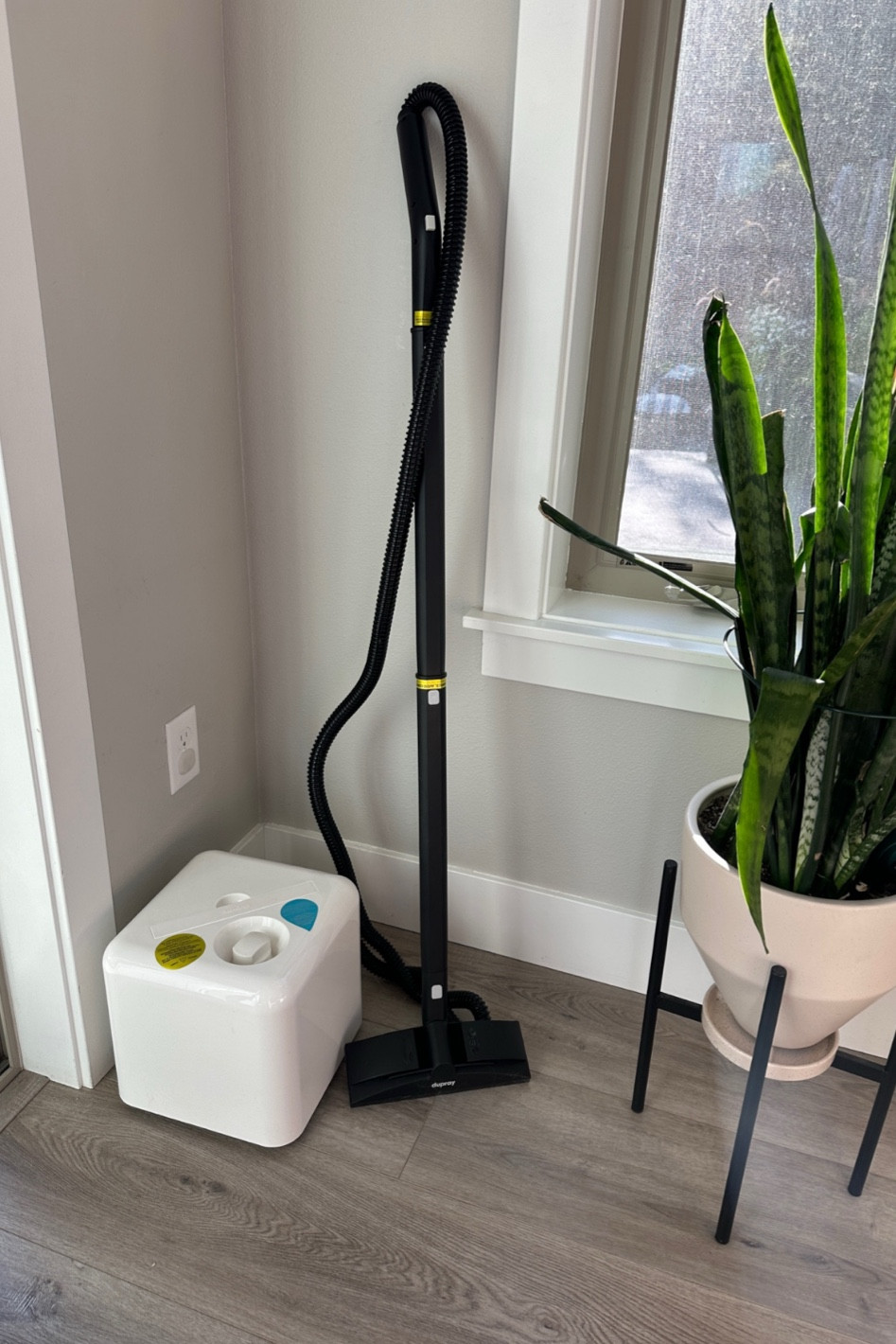 My favorite steam cleaner that kills 99.9% of bacteria and viruses



#LTKFindsUnder100 #LTKFamily #LTKHome