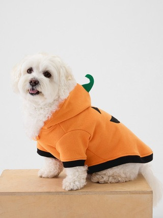 Pet Halloween Costume | Gap (US)