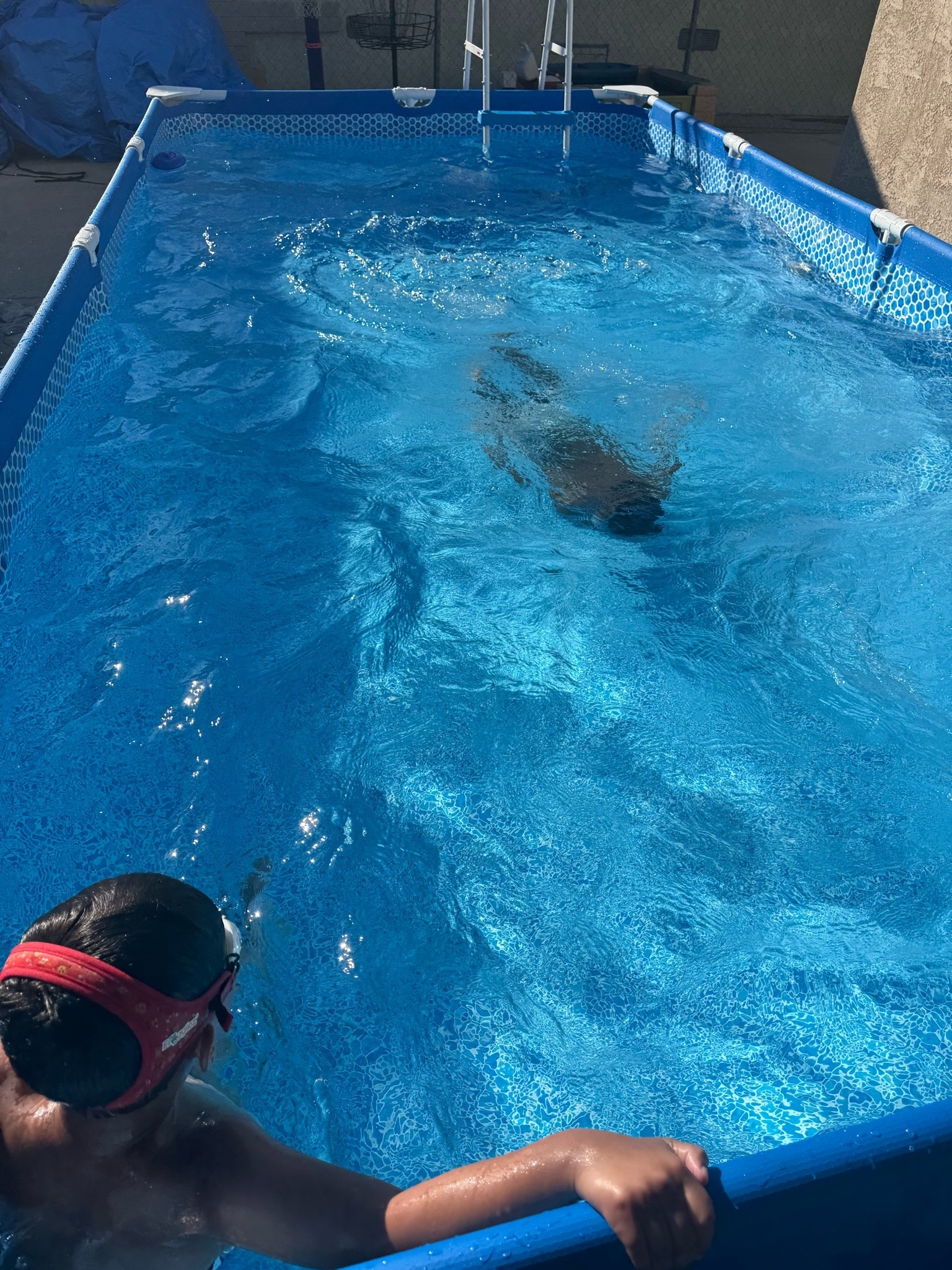 My boys and I share absolutely loving this little pool for the summer! 

Pool days 
Summer finds 
Amazon finds 
Prime day 
Outdoor pool 
Summer must haves

#LTKdayinmylife #LTKSwim #LTKHome