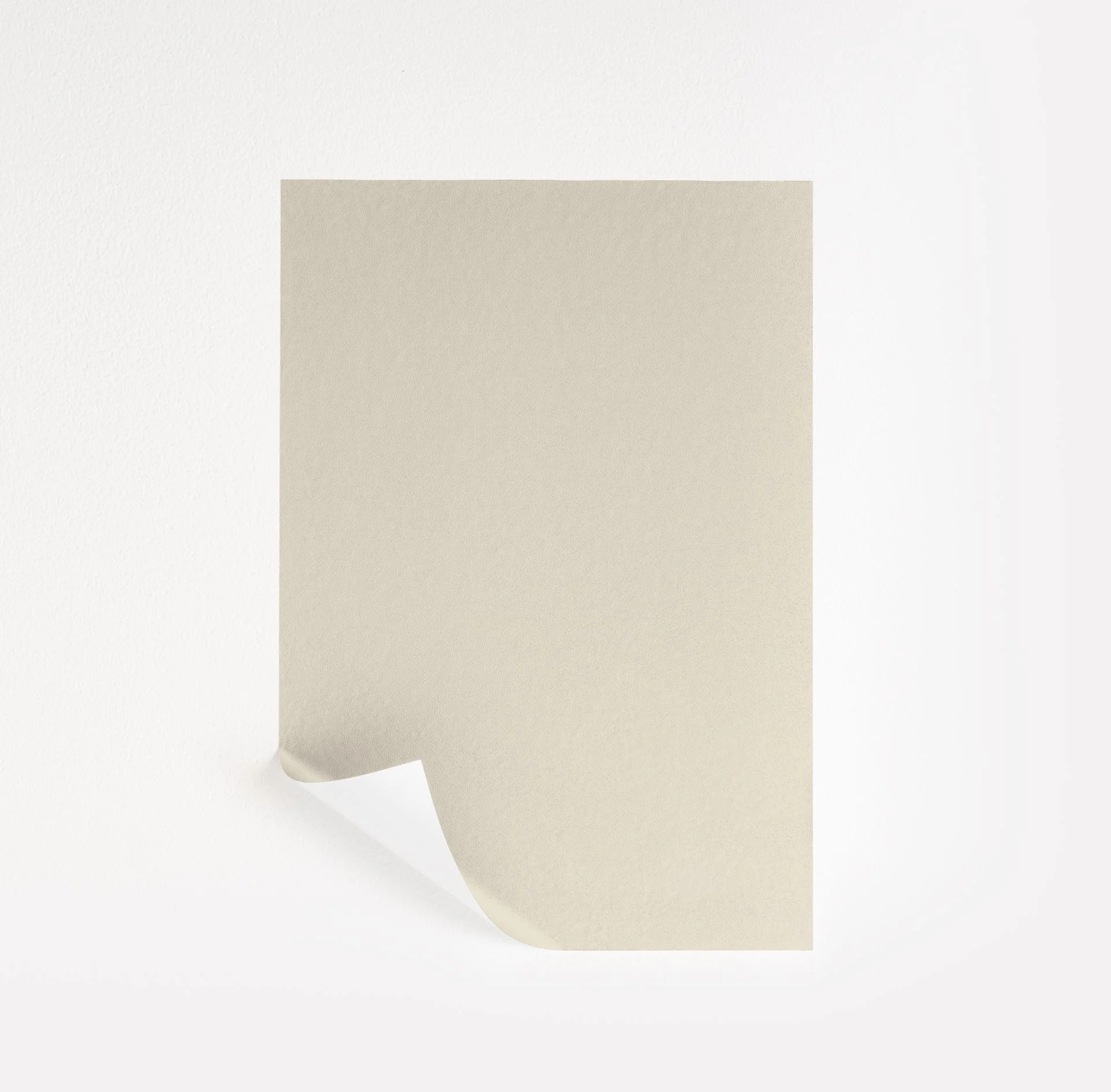 Steamed Milk Paint Sample by Sherwin-Williams (7554) | Peel & Stick Paint Sample | Samplize