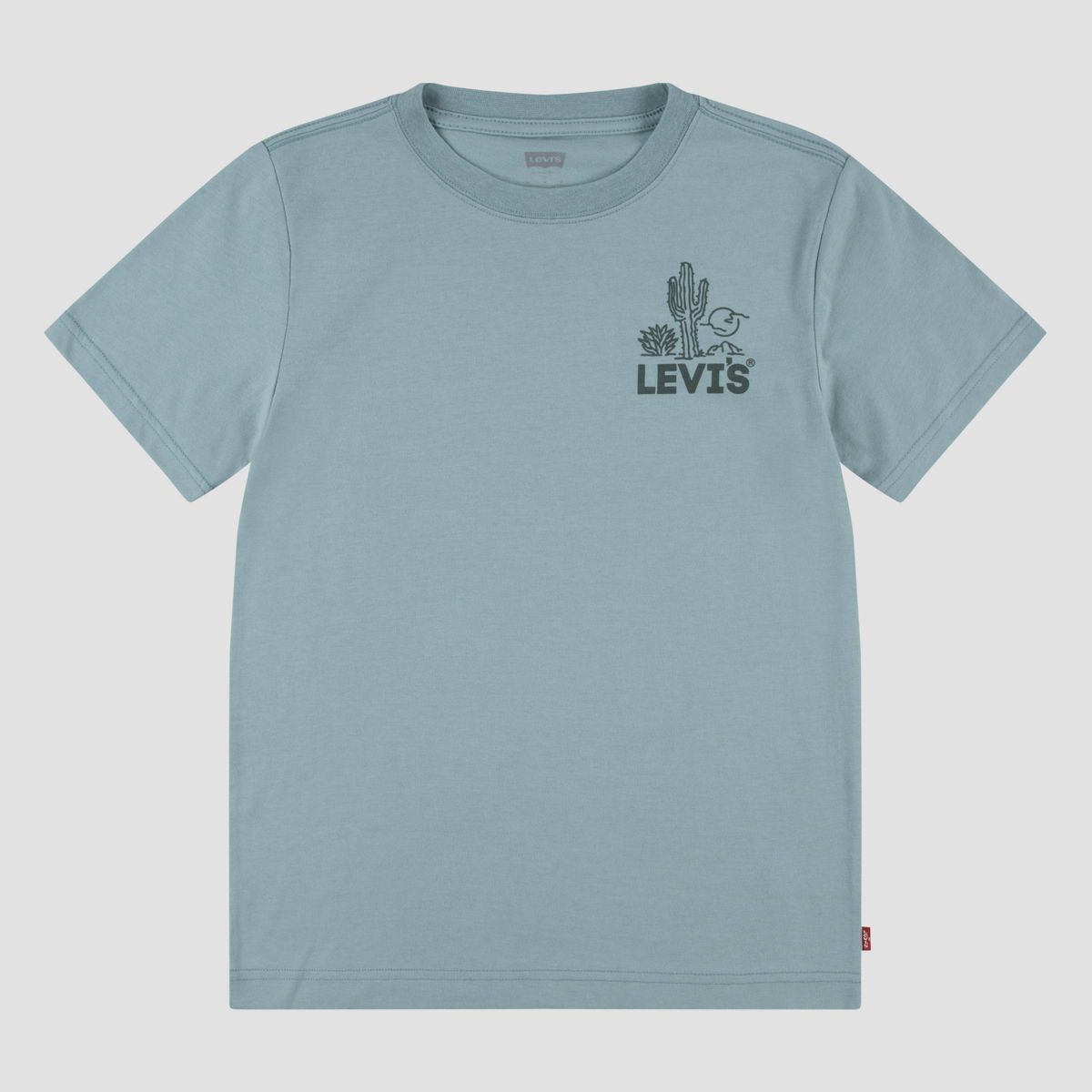 Levi's® Boys' Short Sleeve 'Surf Cacti Club' Graphic T-Shirt - Dark Green | Target
