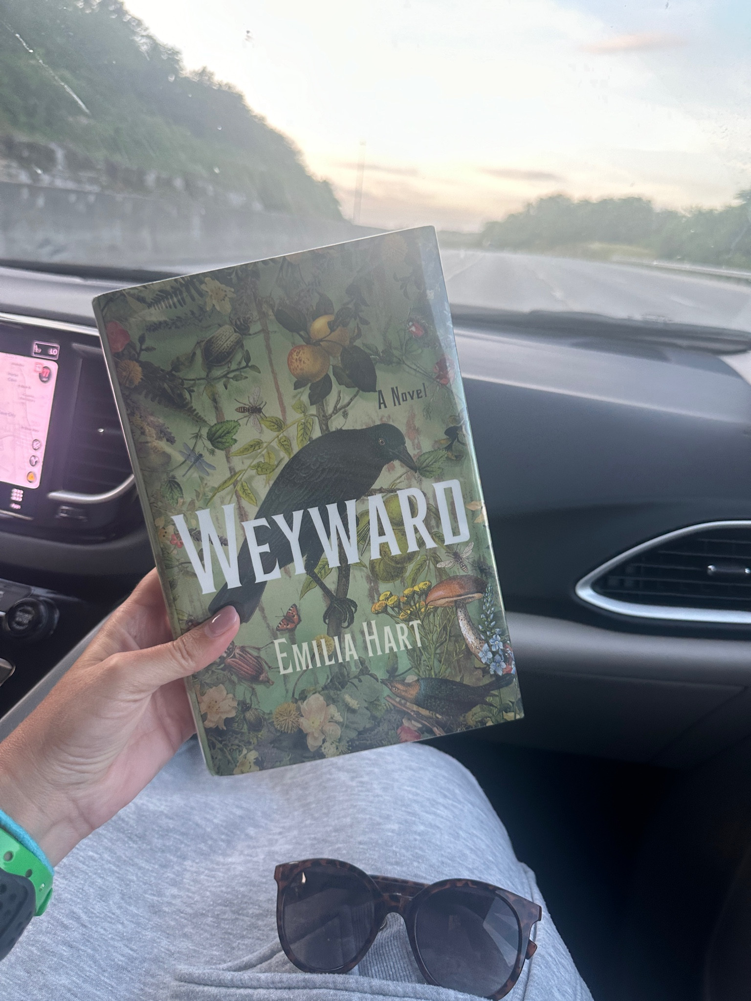 Book 16 done!  I enjoyed this one - not a quick read, but an easy one and a little bit witchy!
#books #whatimreading #bookclub #emilianart

#LTKFindsUnder50 #LTKFamily #LTKSeasonal