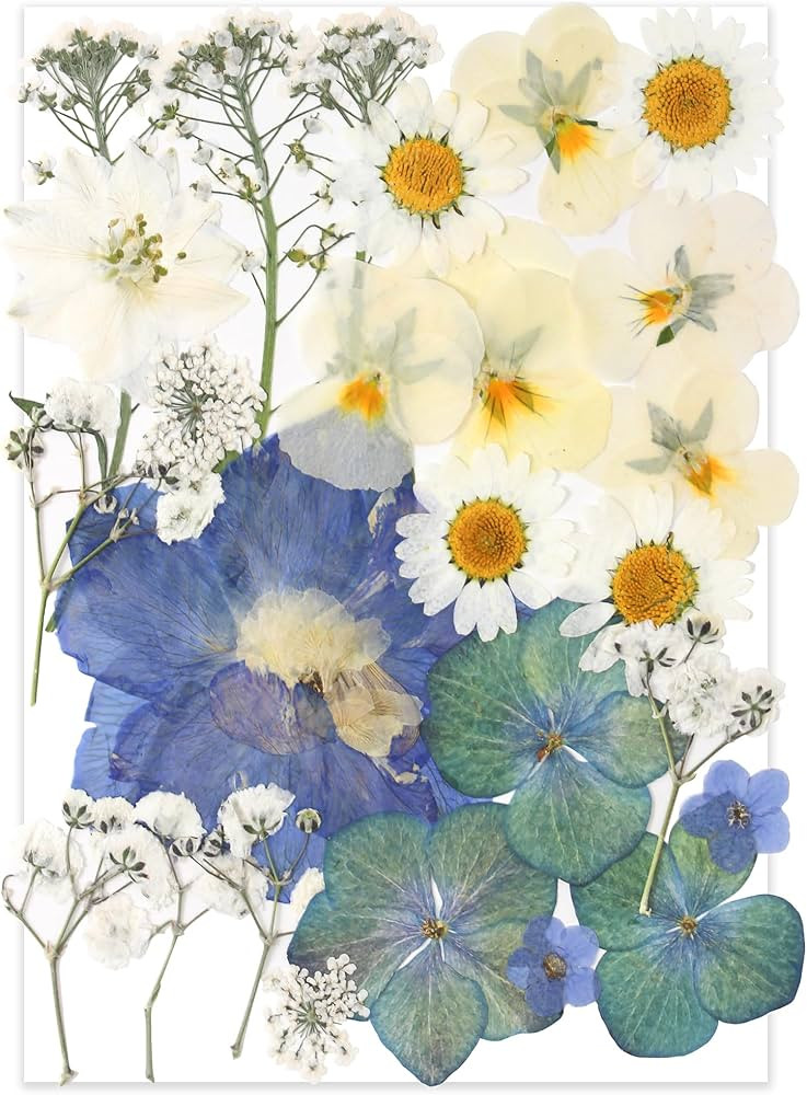 26pcs Dried Pressed Flowers for Resin Molds,YouthBro Real Natural Pressed Flowers for DIY Art Cra... | Amazon (US)
