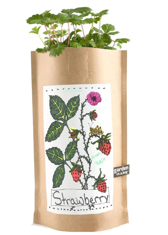 Kids Strawberry Garden in a Bag | Rose & Rex 
