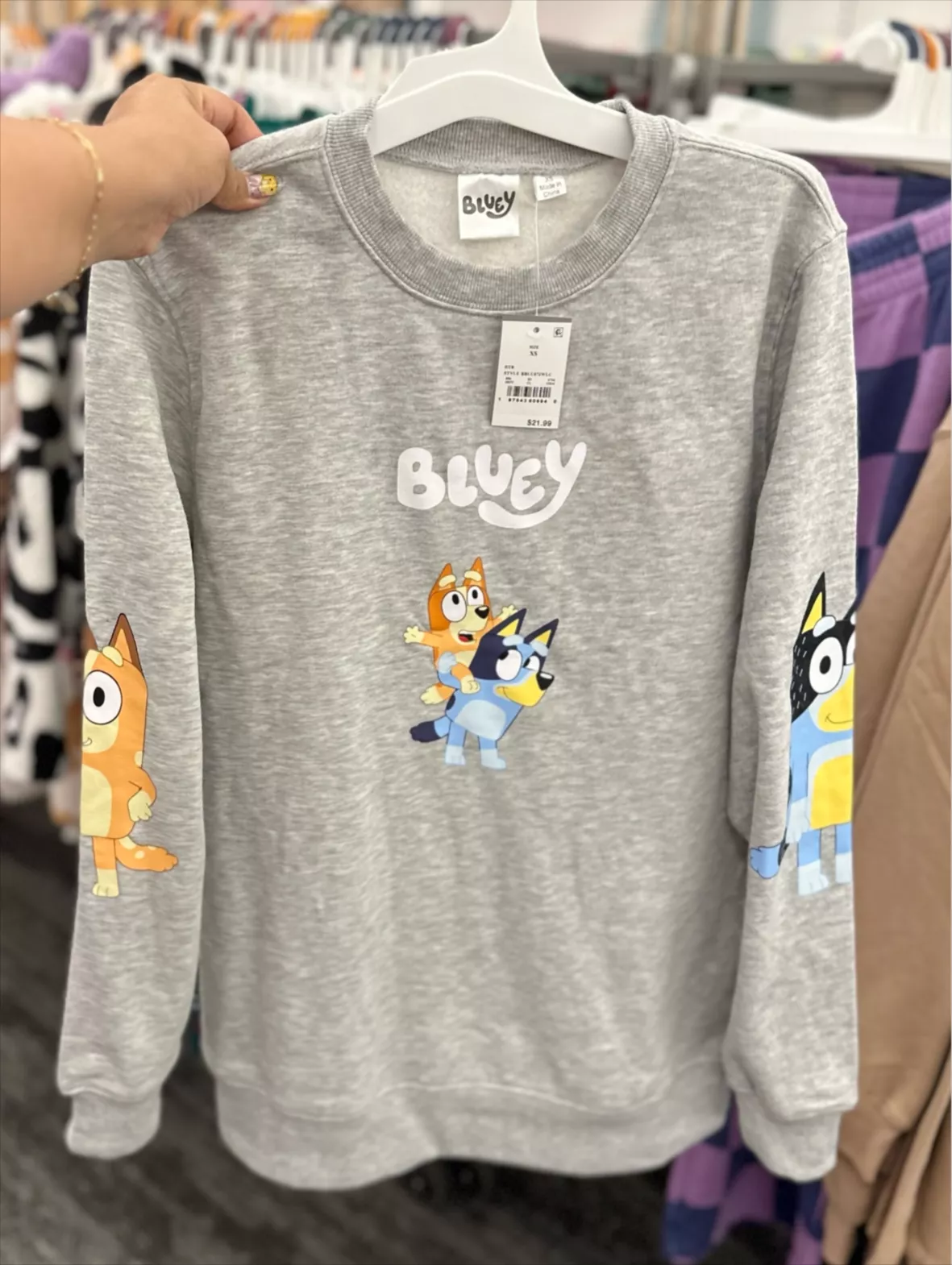 Women's Bluey Graphic Sweatshirt - Gray Xxl : Target