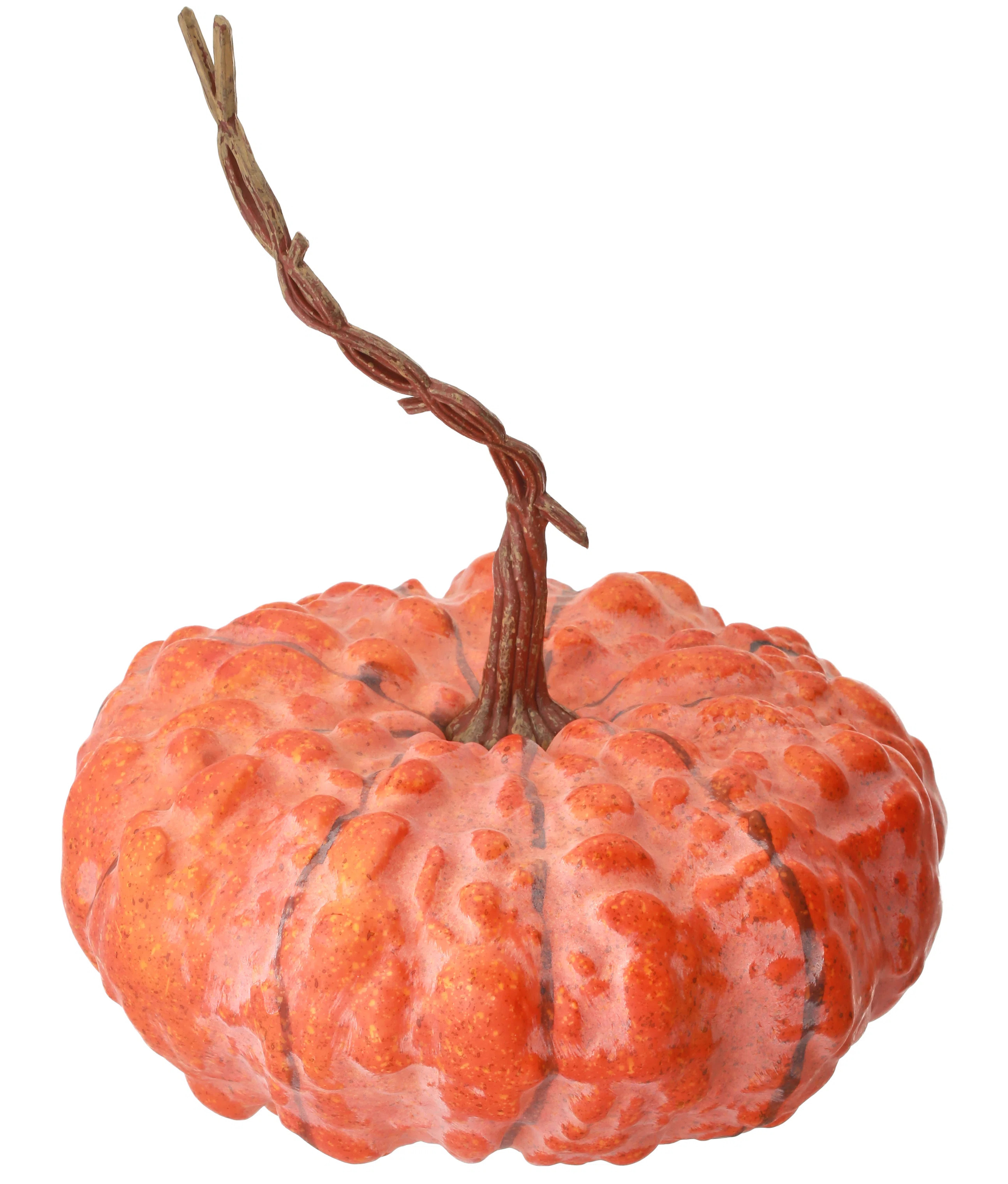 The Twillery Co.® Hybrid Pumpkin & Reviews | Wayfair | Wayfair North America
