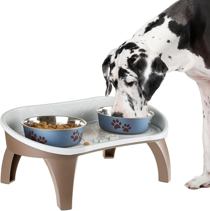 Elevated Pet Feeding Tray - 21\u2033 x 11\u2033 x 8.5\u2033 Raised Dog Bowl Stand with Splash Gua... | Amazon (US)