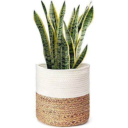 POTEY 700802 Cotton Rope Woven Plant Basket Modern Woven Basket for 10" Flower Pot Floor Indoor Plan | Amazon (US)