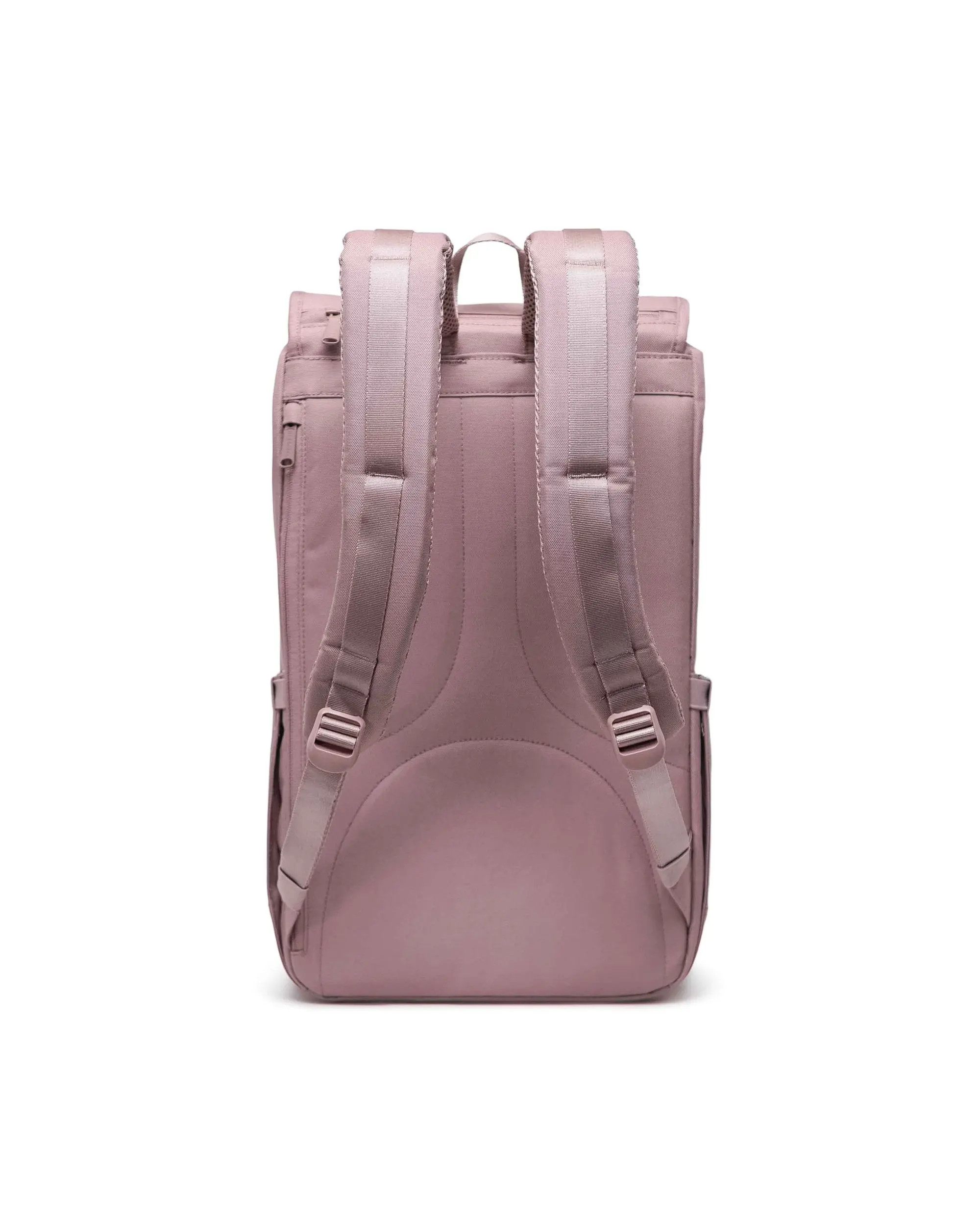 Limited Edition | Herschel Supply Company
