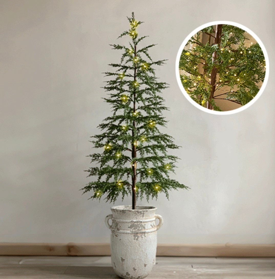 These sold out fast in 2024! They are back for this year, but there’s only a few left. 

#LTKHome #LTKHoliday #LTKSeasonal