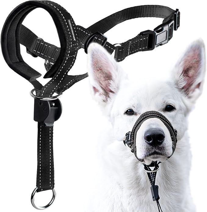 GoodBoy Dog Head Halter with Safety Strap - Stops Heavy Pulling On The Leash - Padded Headcollar ... | Amazon (US)