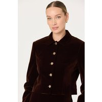 ASTR the Label | Vox Velvet Button Front Jacket in Dark brown | Size M | ASTR The Label (US)