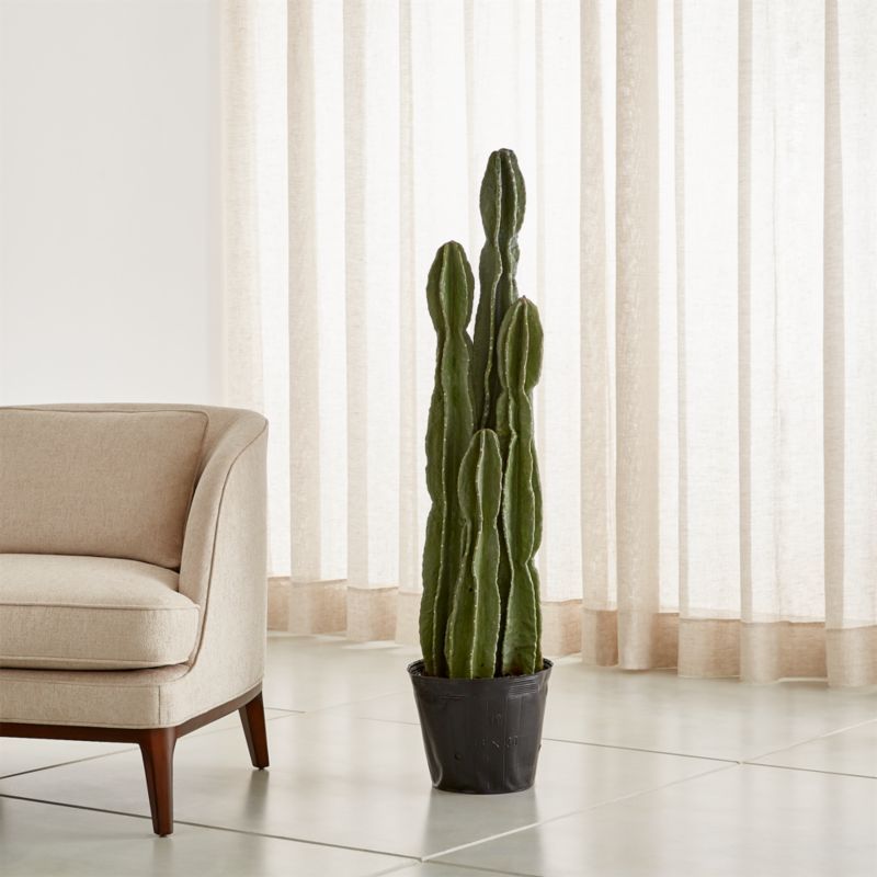 Faux Potted Cactus | Crate & Barrel