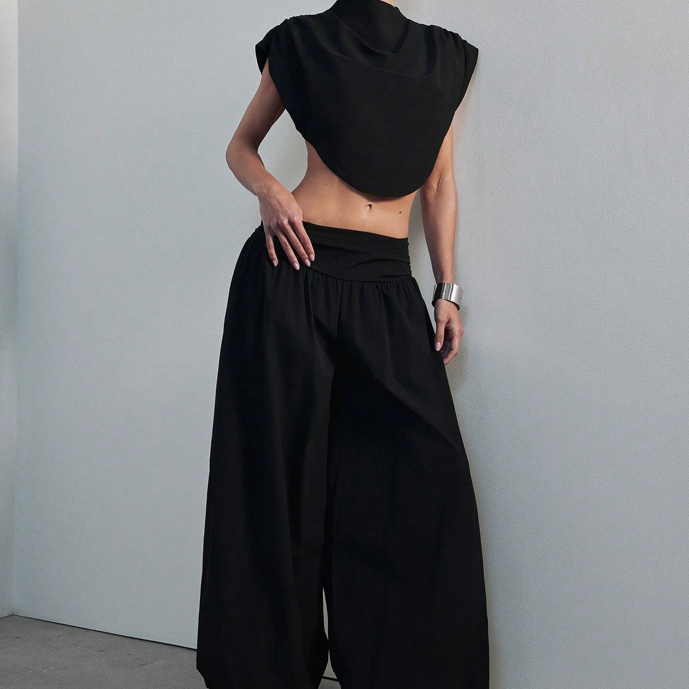 Hauture Women's Low Rise Shirred Waist Pull On Balloon Pant Sexy Office Wear | SHEIN