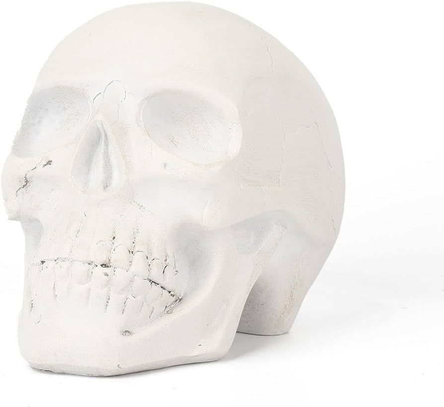 DN DECONATION White Skull Decor, Halloween Skull Decoration for Home, Skeleton Head Halloween Dec... | Amazon (US)