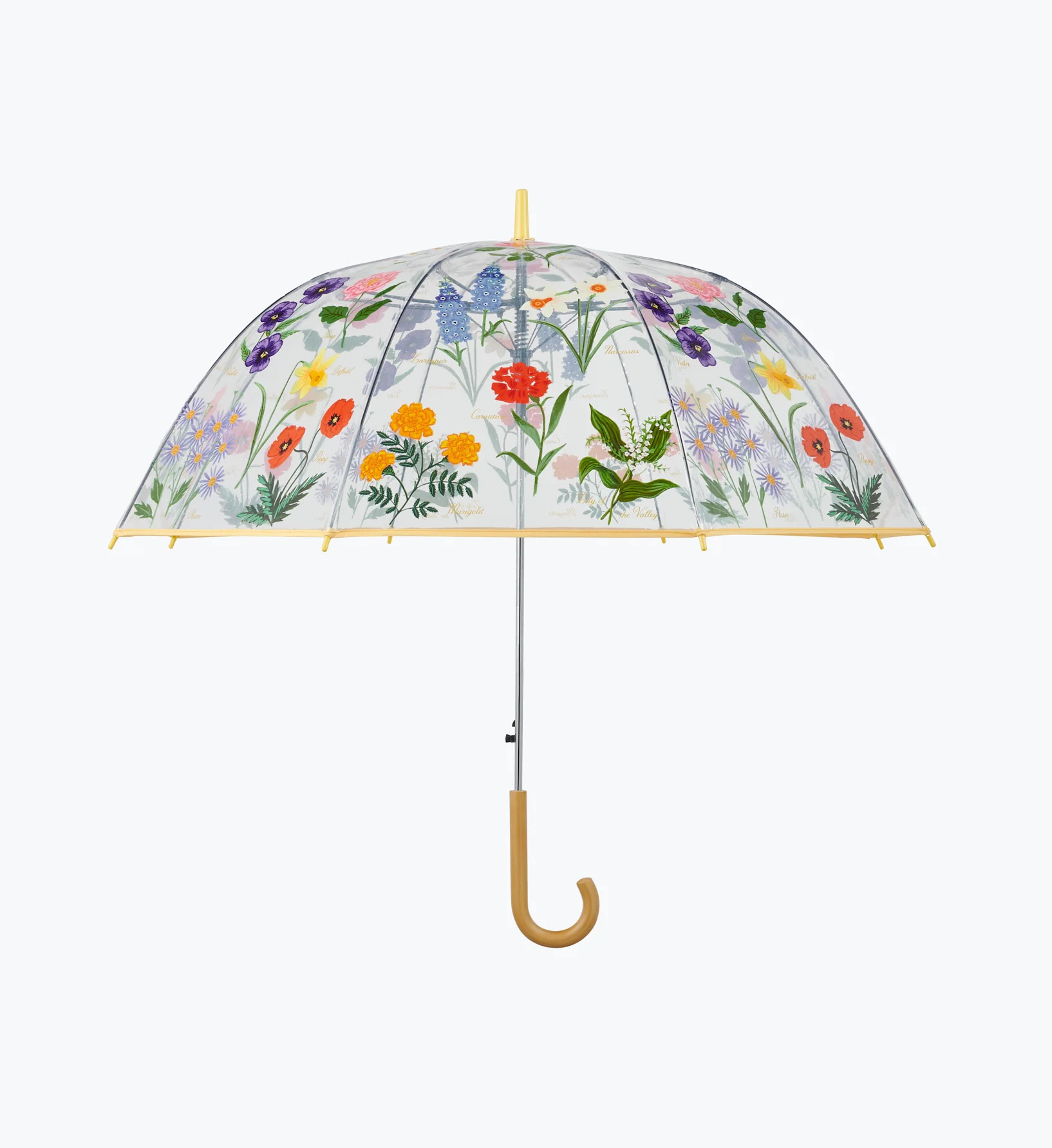 Umbrella - Garden Study | Rifle Paper Co.