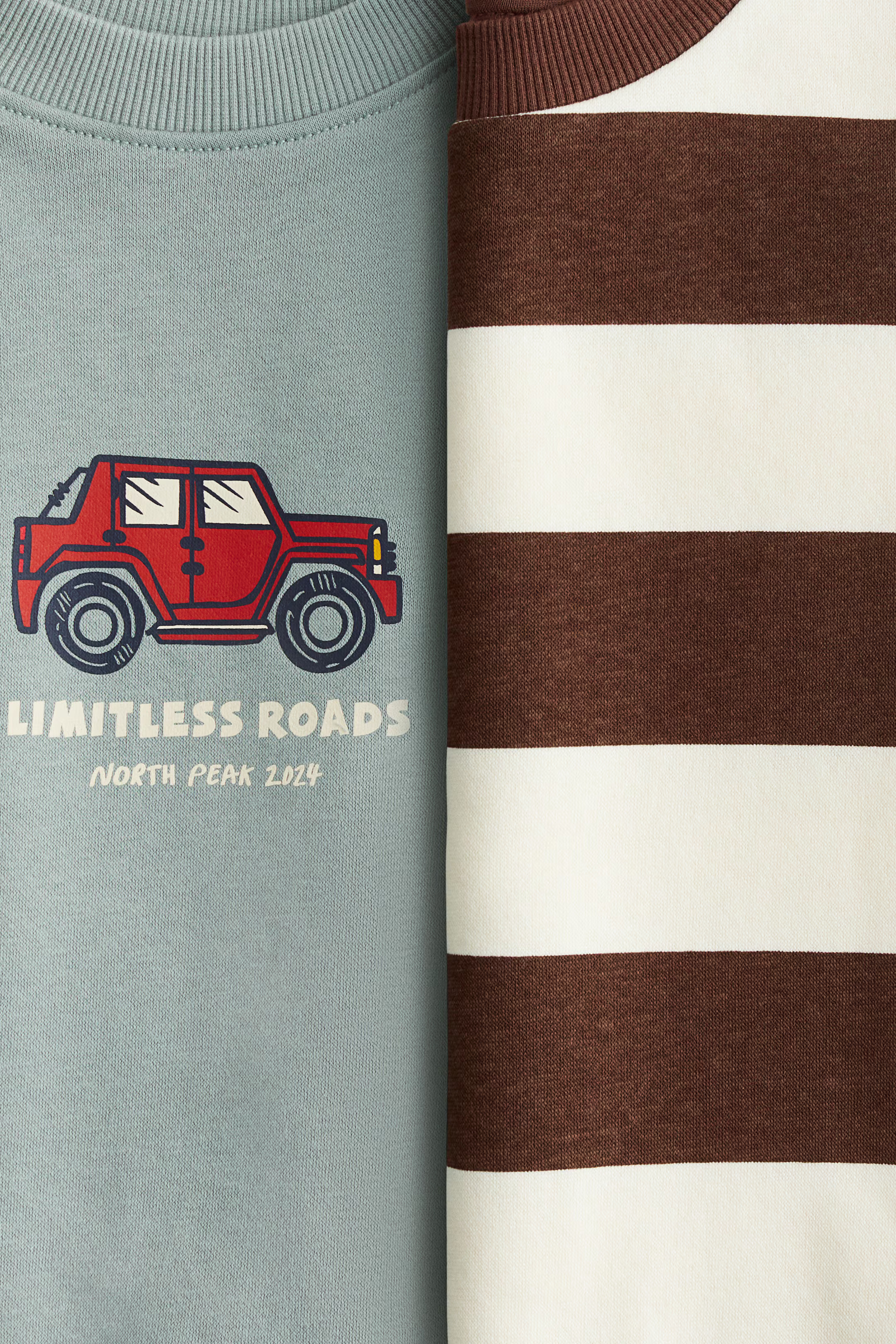 2-Pack Printed Cotton Sweatshirts | H&M (US + CA)