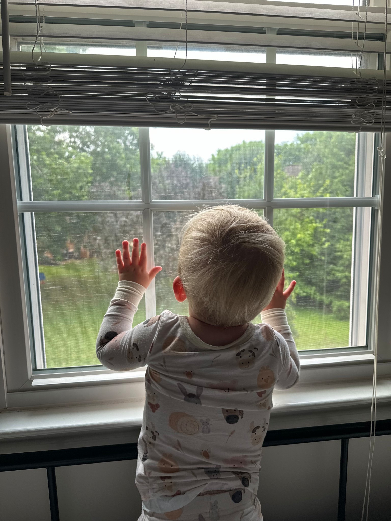 Farm animal toddler pajamas 

#LTKKids #LTKBaby