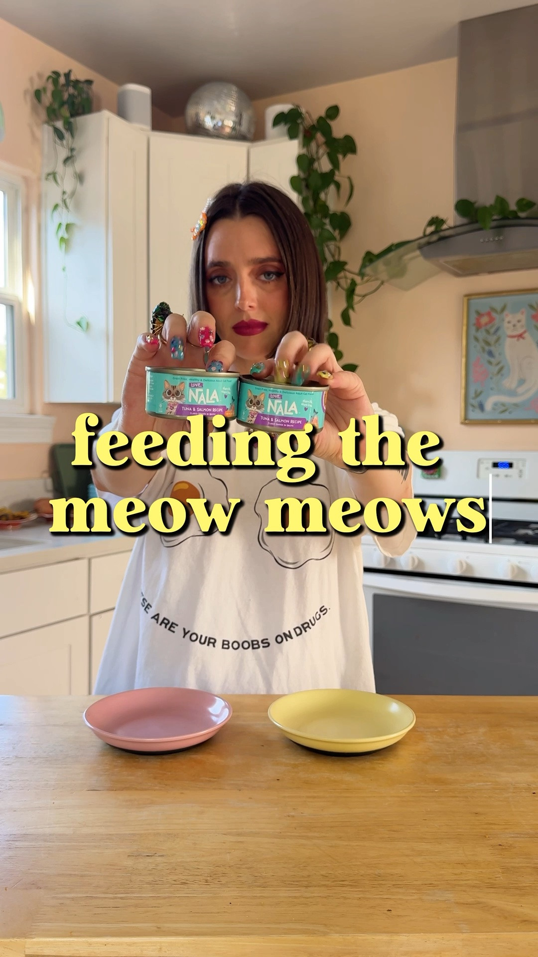 cat food + treats for the cats! 🐾