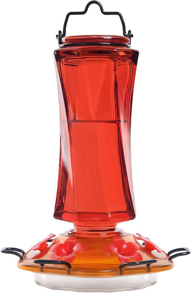 Billion Sky Hummingbird Feeder for Outdoors, Minimalist Bottle Shape, 6 Simulation Flowers Feedin... | Amazon (US)