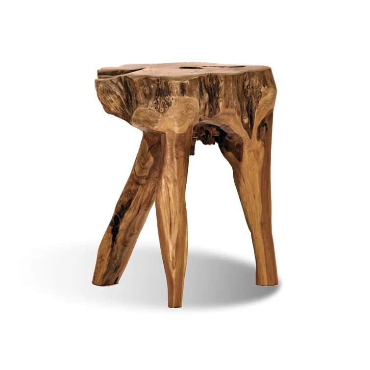 Teak Root Accent Stool | Wayfair Professional