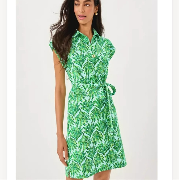 NWT Lilly Pulitzer Emersyn Dress | Poshmark