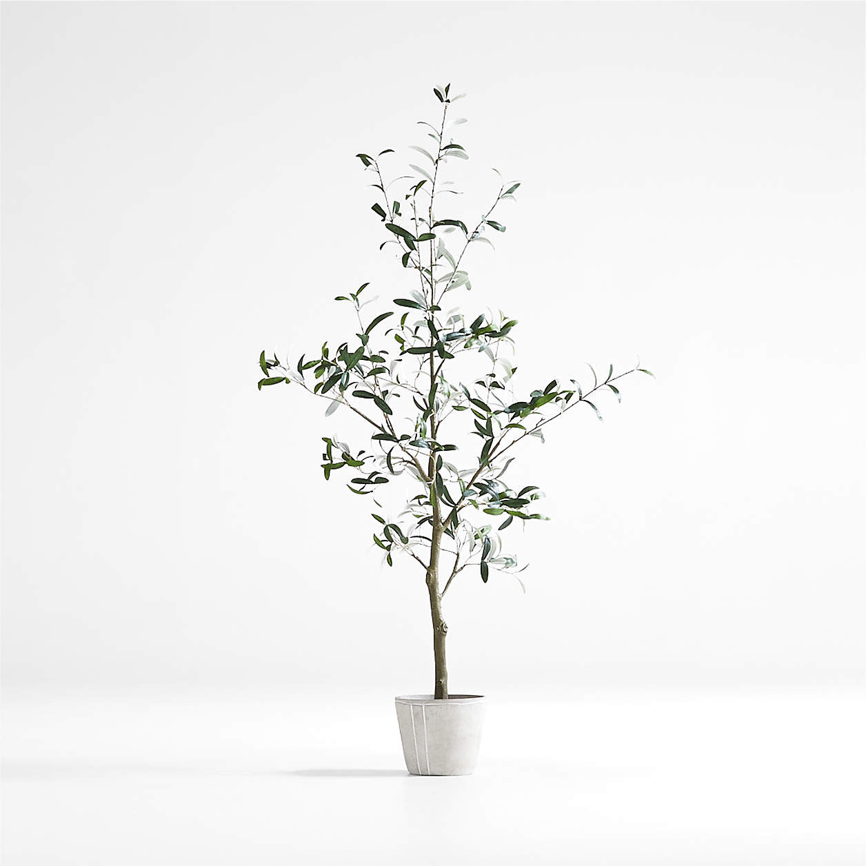 Faux Olive Tree in Pot 7' + Reviews | Crate & Barrel | Crate & Barrel