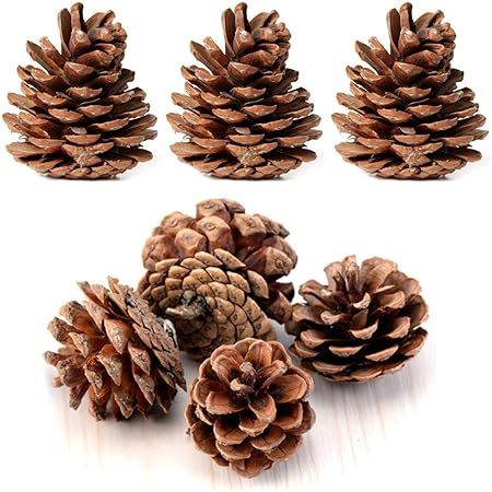 JOHOUSE Natural Pine Cones, Christmas Rustic Pinecones Fall Garland Halloween Thanksgiving Decora... | Amazon (US)