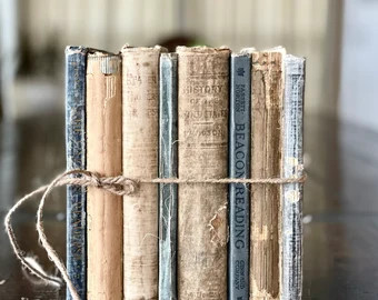 Farmhouse Antique Book Collection | Etsy (US)