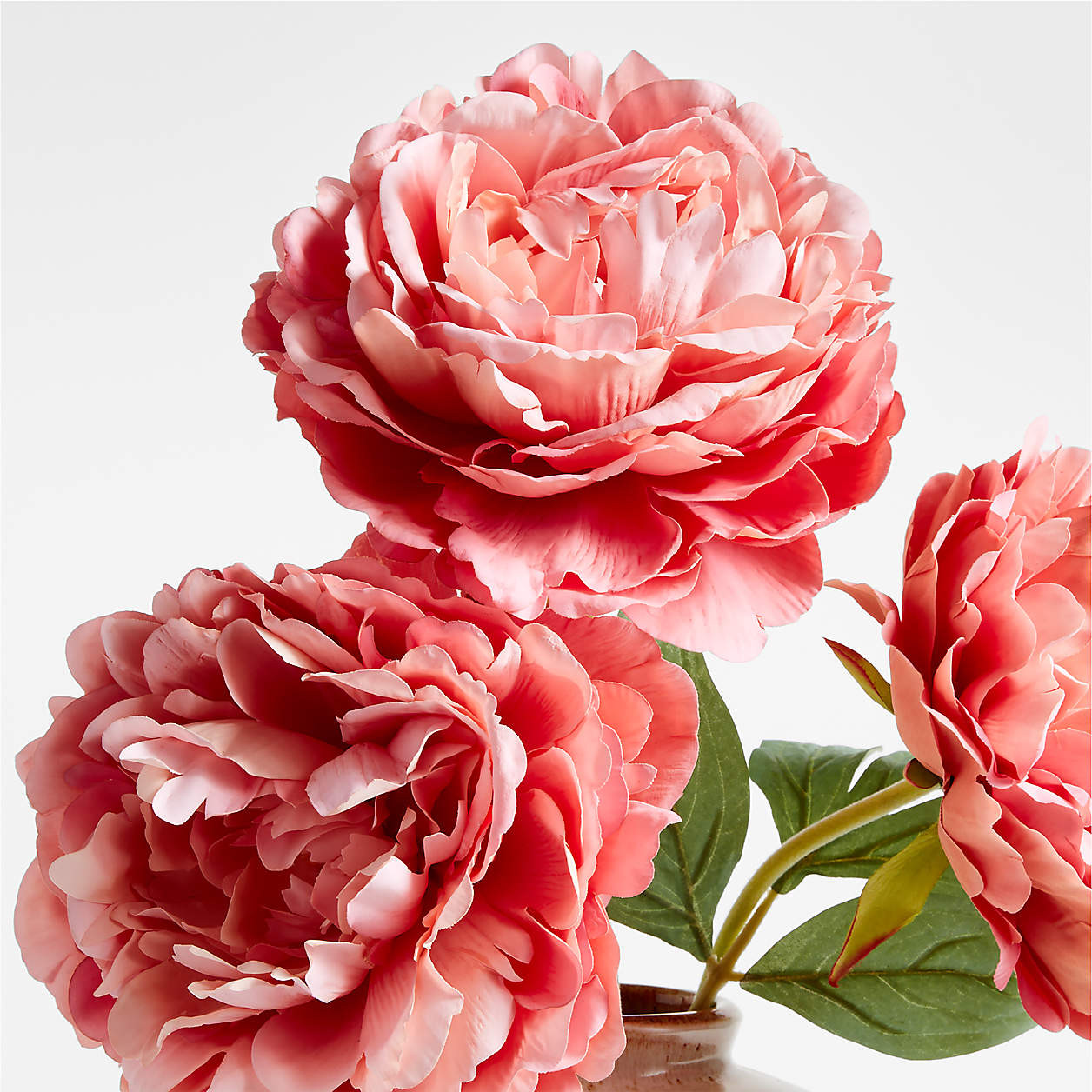 Faux Pink Peony Stem 24" by Abigail Ahern + Reviews | Crate & Barrel | Crate & Barrel