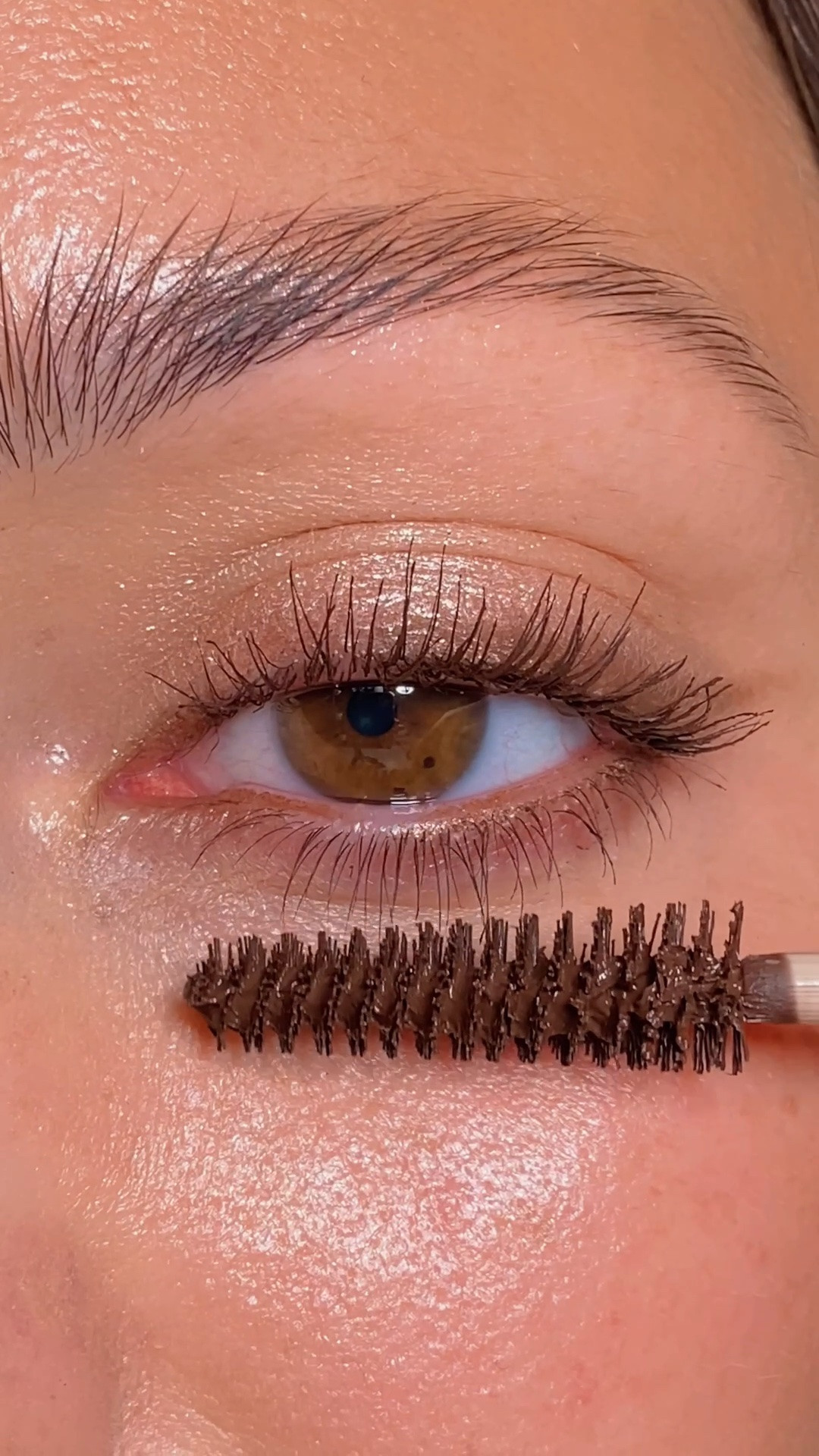 say no more 🍂✨ here’s a simple soft and shimmery eye look to carry you into the fall season, & a reminder that eye makeup doesn’t need to be complicated to be beautiful!! Using the eye stylus in the shade venetian and eyeliner in the shade flourish ✨

#fallmakeuplook #easymakeup #makeupideas

#LTKBeauty