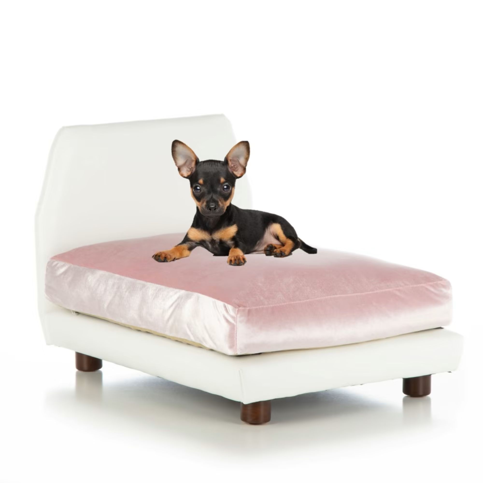 Club Nine Pets Pink Lido Orthopedic Dog Bed, 26" L X 37" W | Petco