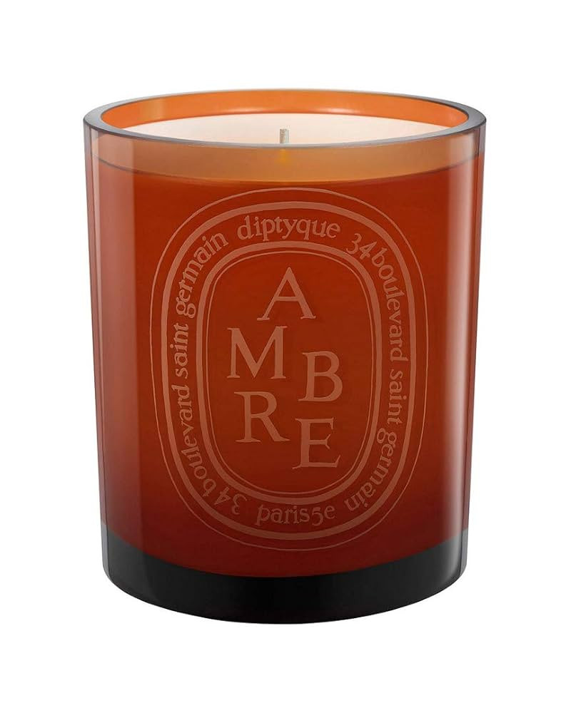 Diptyque Ambre Scented Candle, 10.2 Ounce (187856) | Amazon (US)