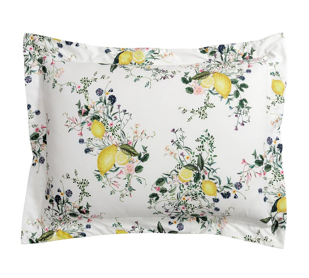 Monique Lhuillier Positano Percale Sham | Pottery Barn (US)