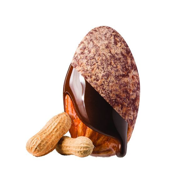 SkinnyDipped Dark Chocolate Peanut Butter Almonds - 3.5oz | Target
