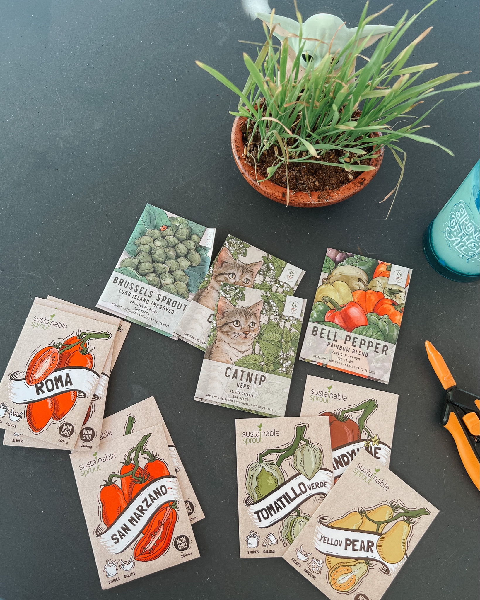 Caught up on some gardening today! Can’t wait for the fresh catnip for the kitties and vegetables for us 

#LTKfamily #LTKSeasonal #LTKhome