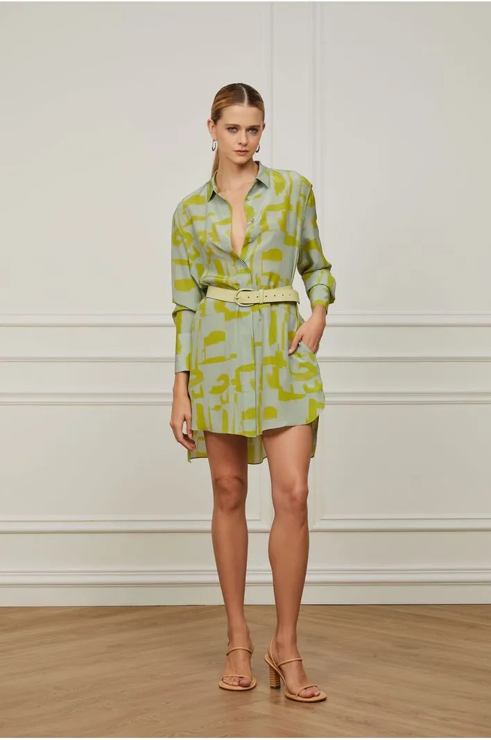 Vestido De Seda Chemise Curto Estampado | Animale (BR)