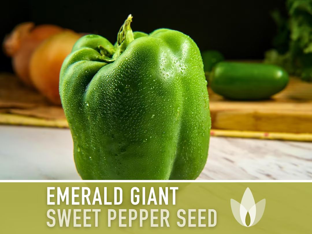Emerald Giant Sweet Pepper Heirloom Seeds Bell Pepper - Etsy | Etsy (US)