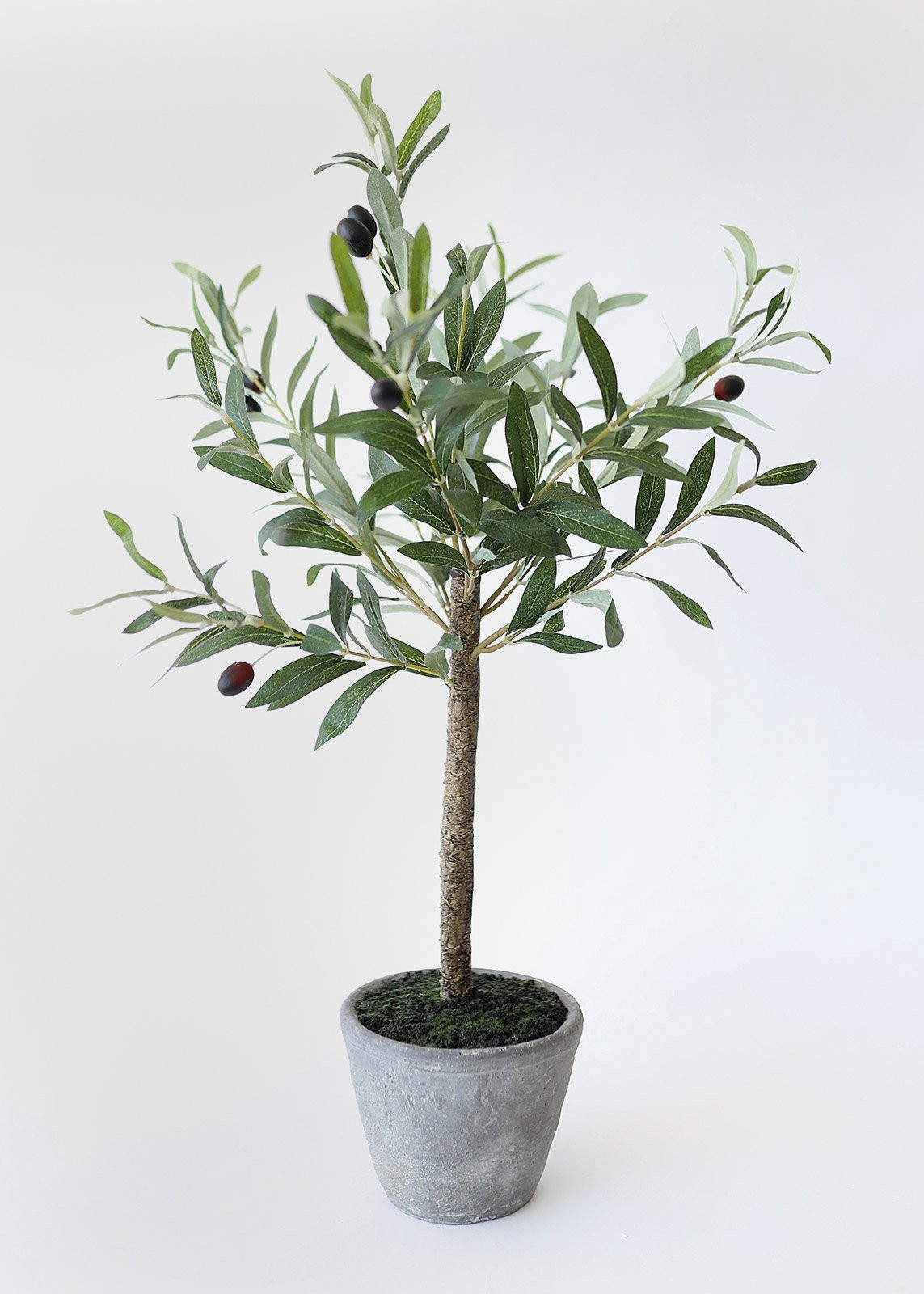 Fake Potted Plant Olive Tree in Pot - 26" | Afloral (US)