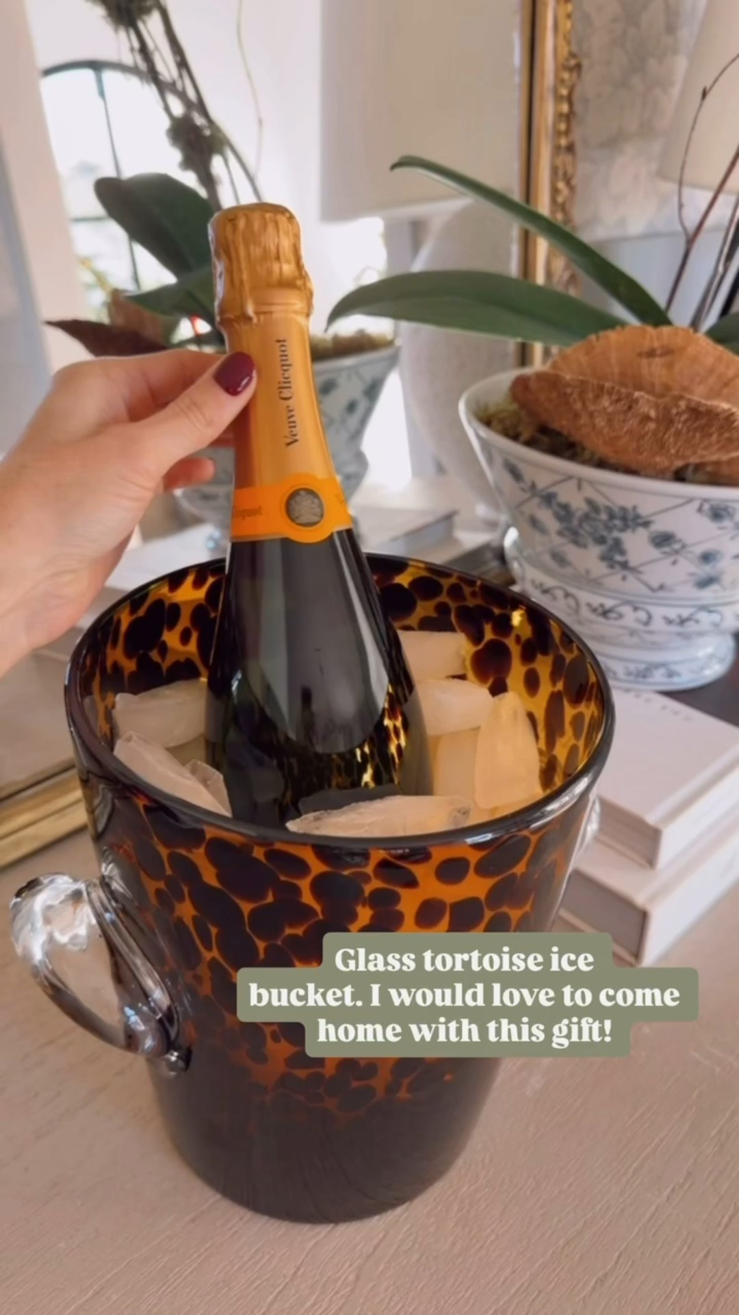 How pretty is this tortoise ice bucket?! I thought this was so pretty to have out when we are hosting guests!

Loverly Grey, Amazon, ice bucket, hostess gifts 

#LTKHome #LTKHoliday