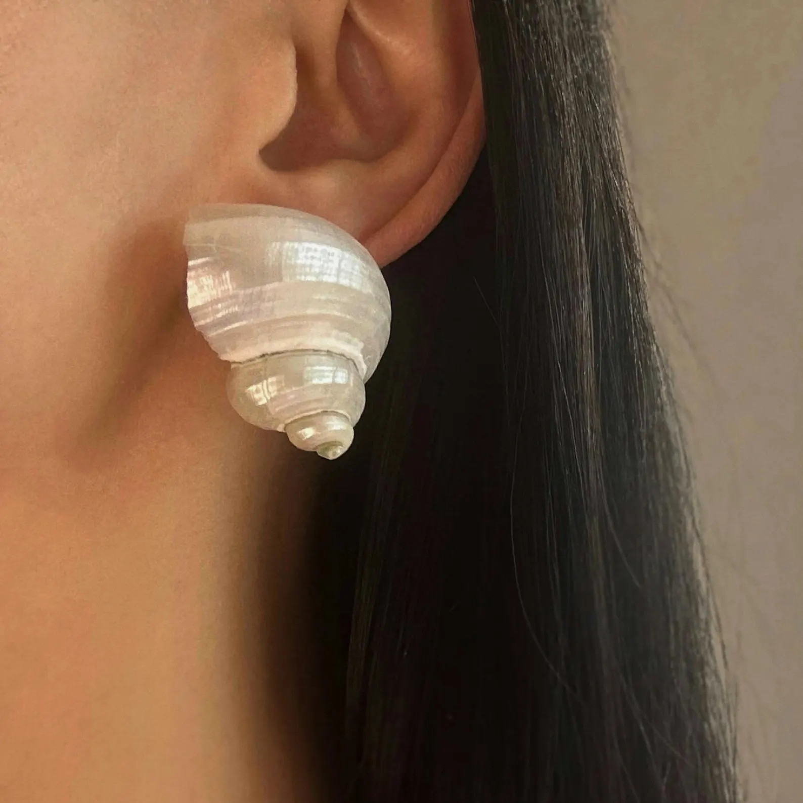 Natural Sea Shell Earrings, Large Shell Earring Studs, Boho Chic Summer Earrings, Real Shell Earr... | Etsy (US)