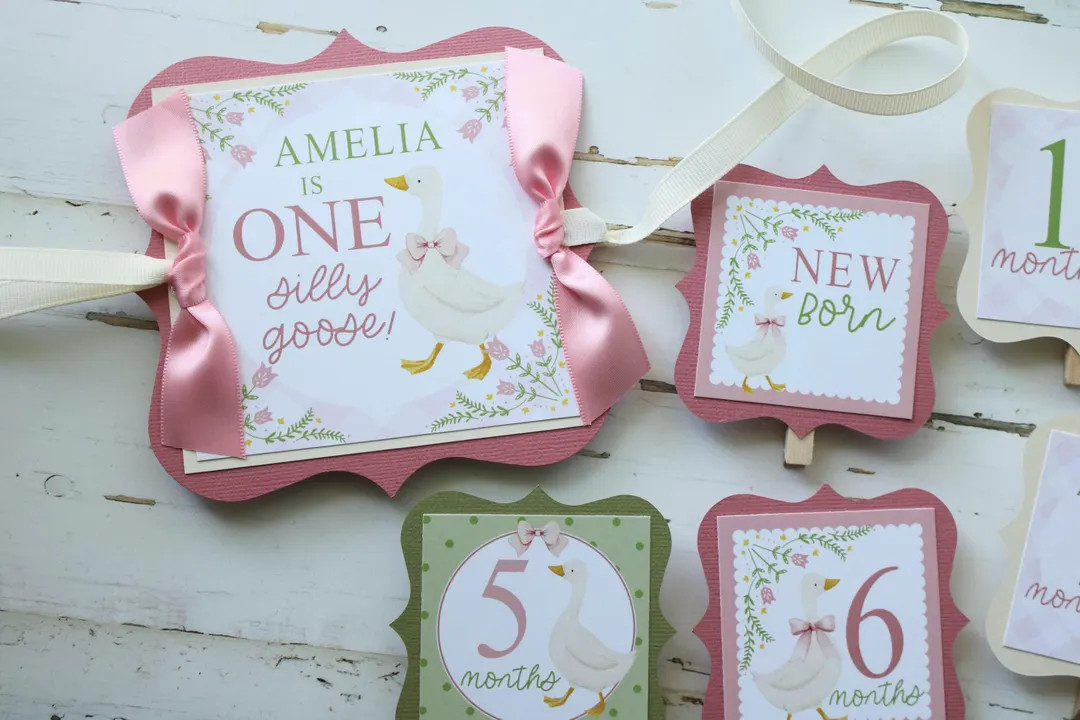 Silly Goose 1st Birthday Photo Banner: Cottagecore First Year Display - Etsy | Etsy (US)