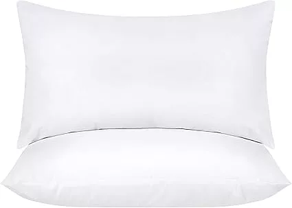 Utopia Bedding Throw Pillows Insert (Pack of 2, White) - 20 x 20