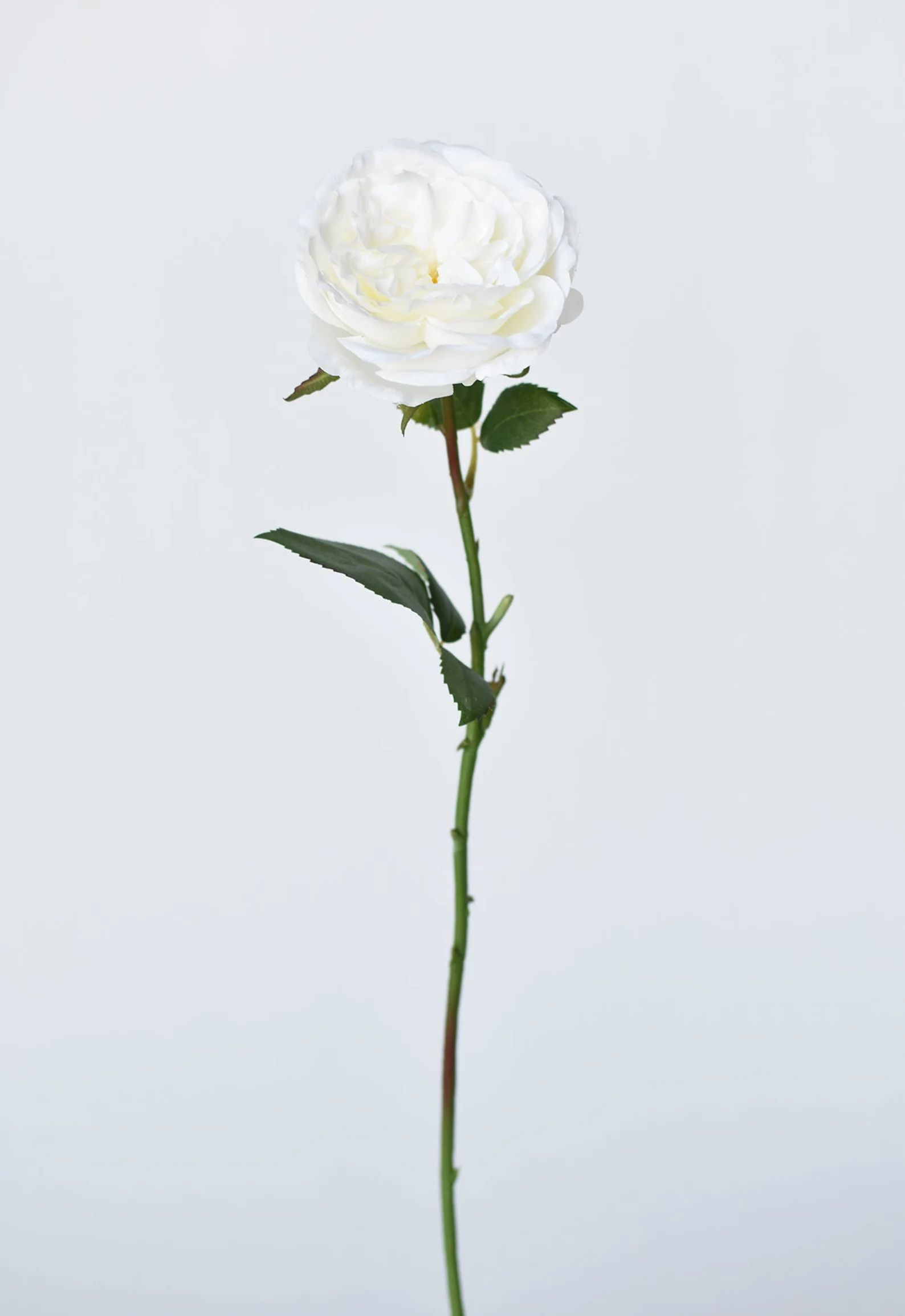 20.5" Rose Spray White | Etsy (US)