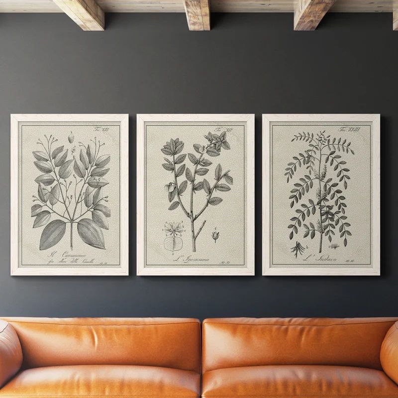 Antique Black And White Botanical VII - 3 Piece Picture Frame Illustration on Canvas | Wayfair North America