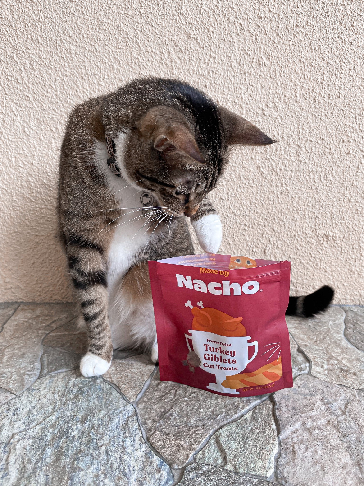 My favorite cat treats! There is a variety of flavors! #madebynacho #cats #cattreats #petsmart 

#LTKFind #LTKhome #LTKunder50